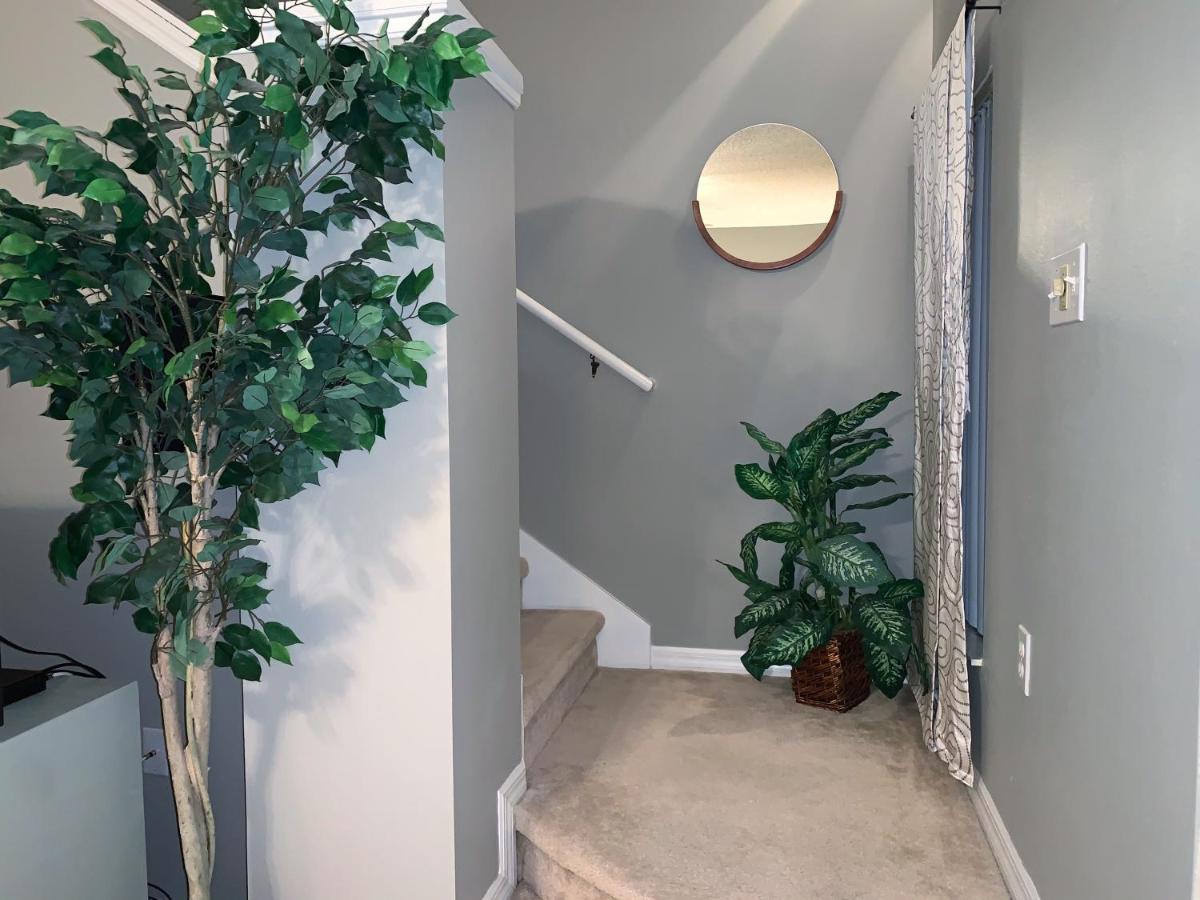 Terra Verde Vacation Rentals Kissimmee Bagian luar foto
